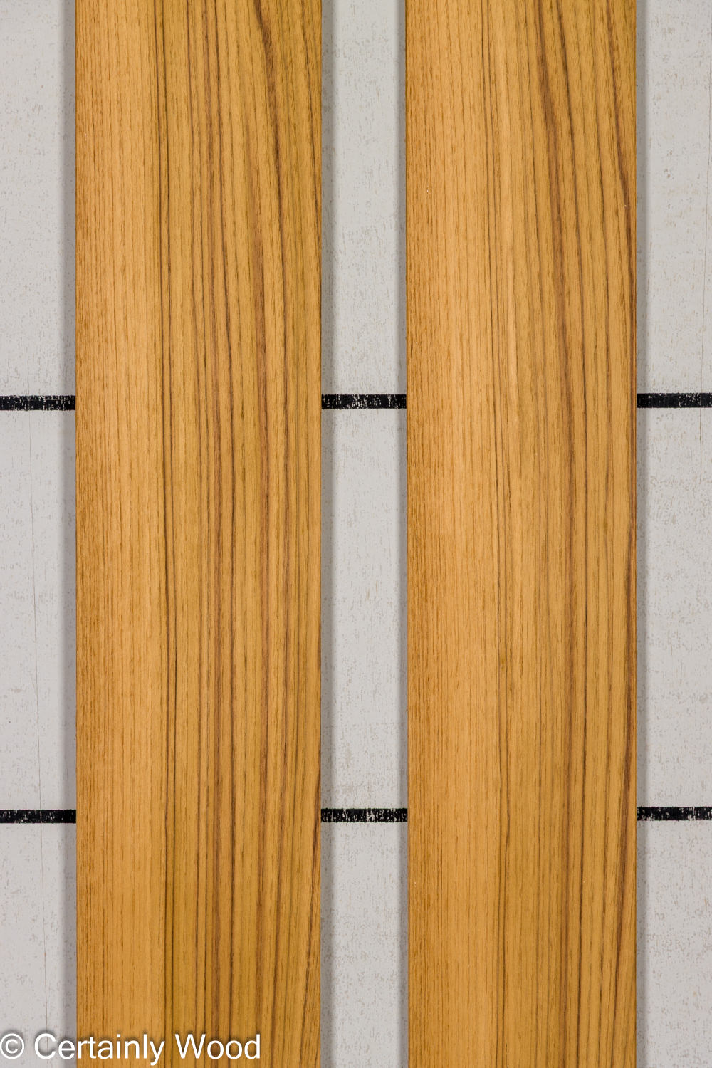 Featured Product Image