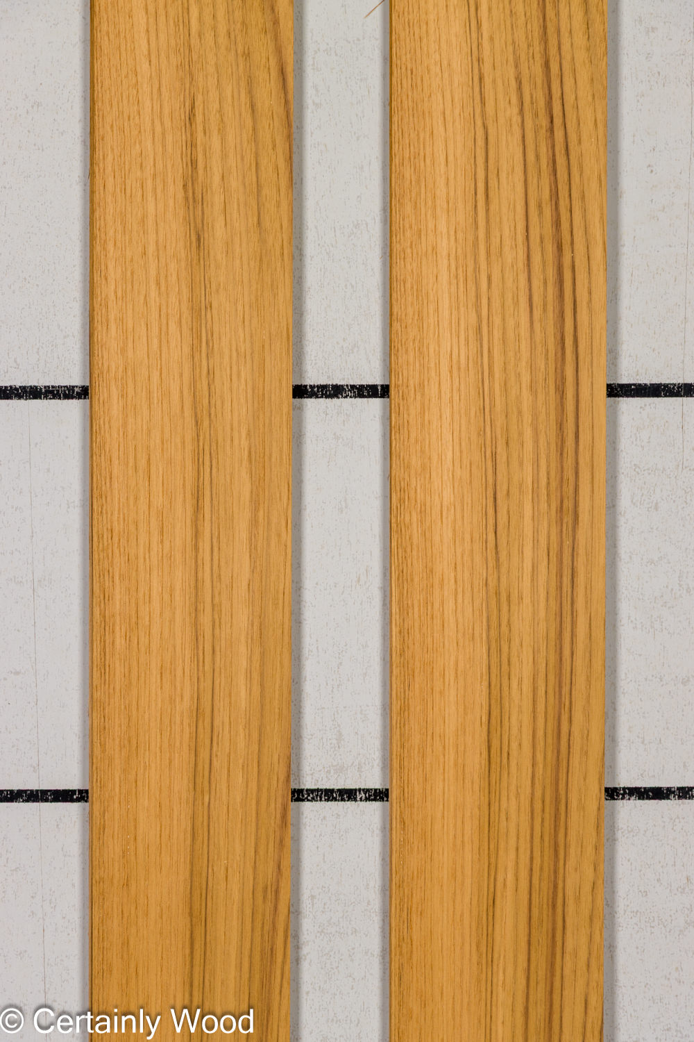 Featured Product Image
