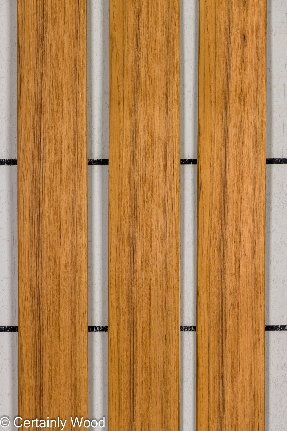 Featured Product Image