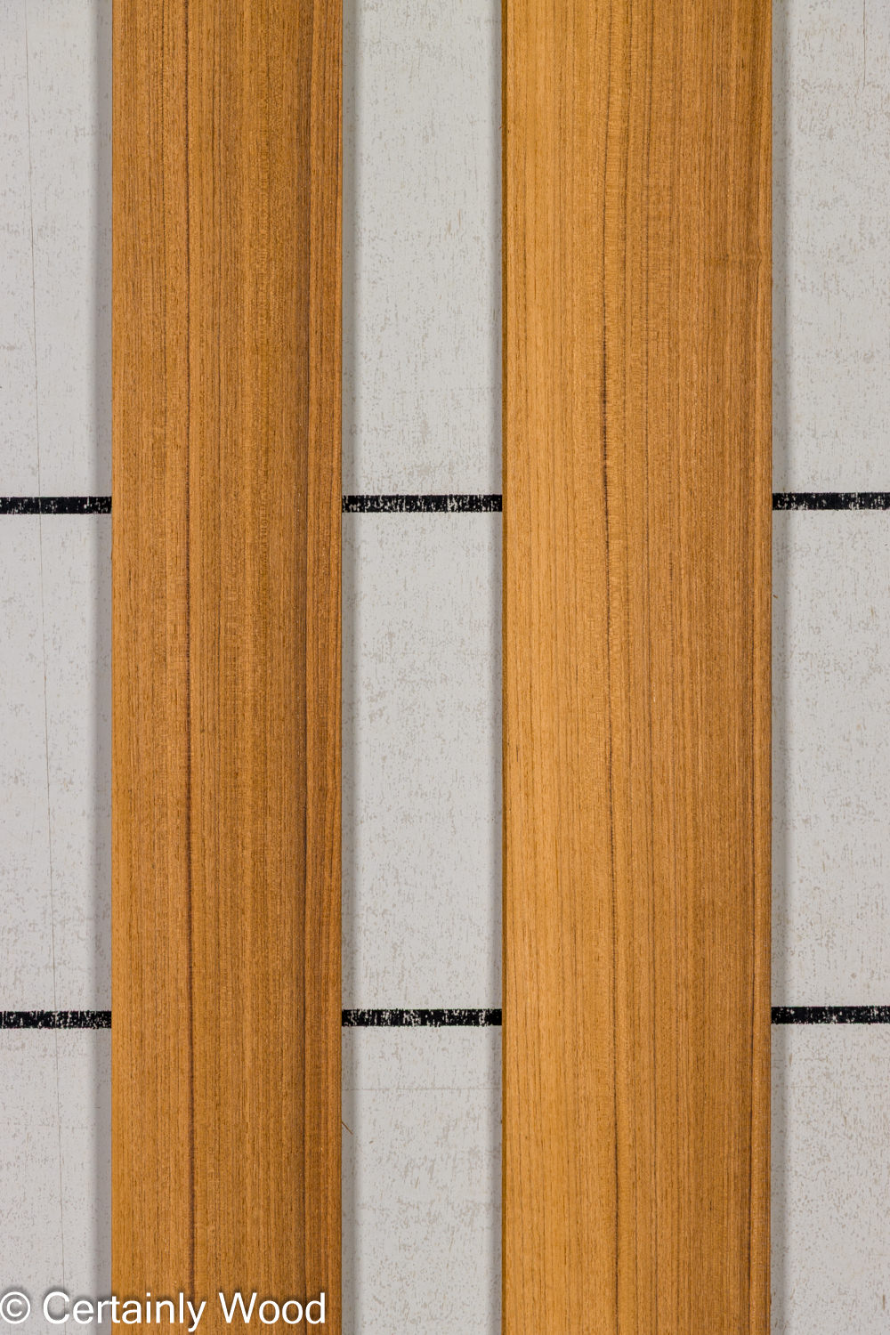 Featured Product Image