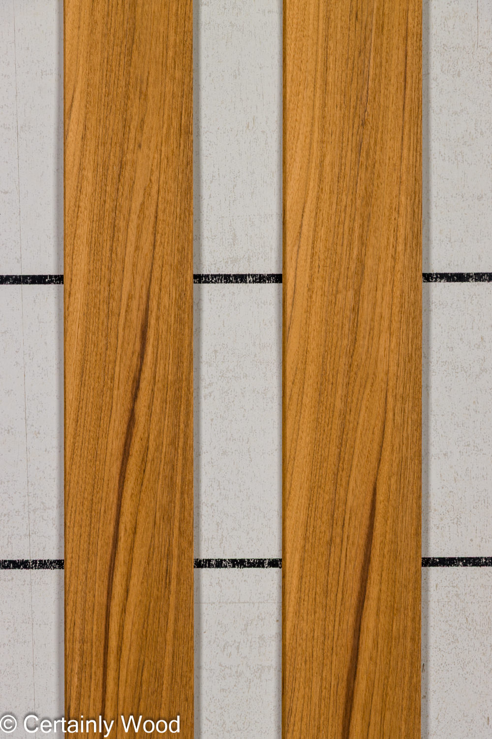 Featured Product Image
