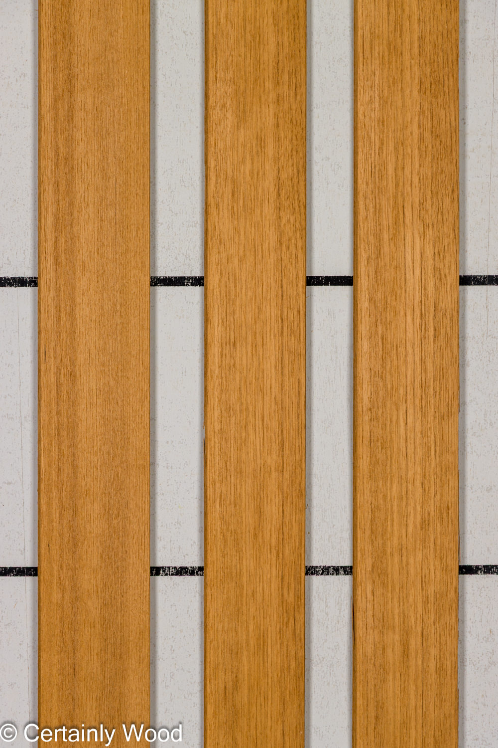 Featured Product Image