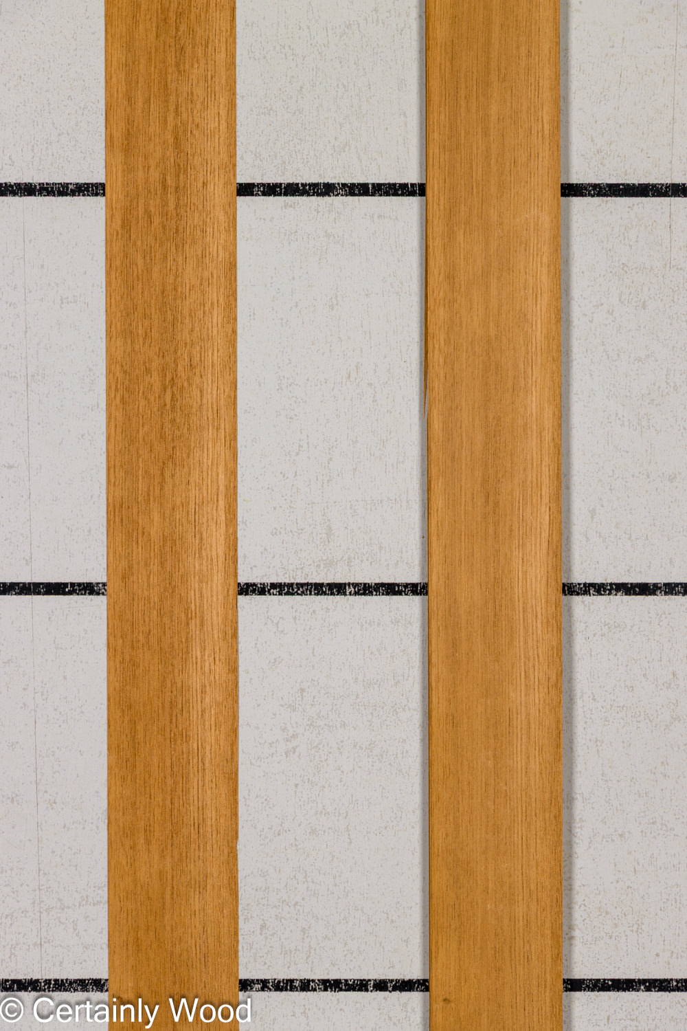 Featured Product Image