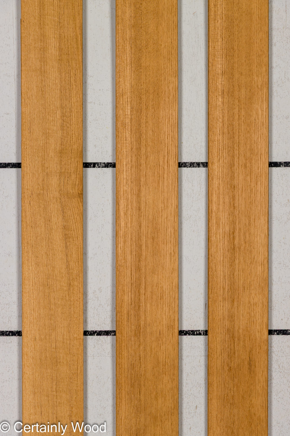 Featured Product Image