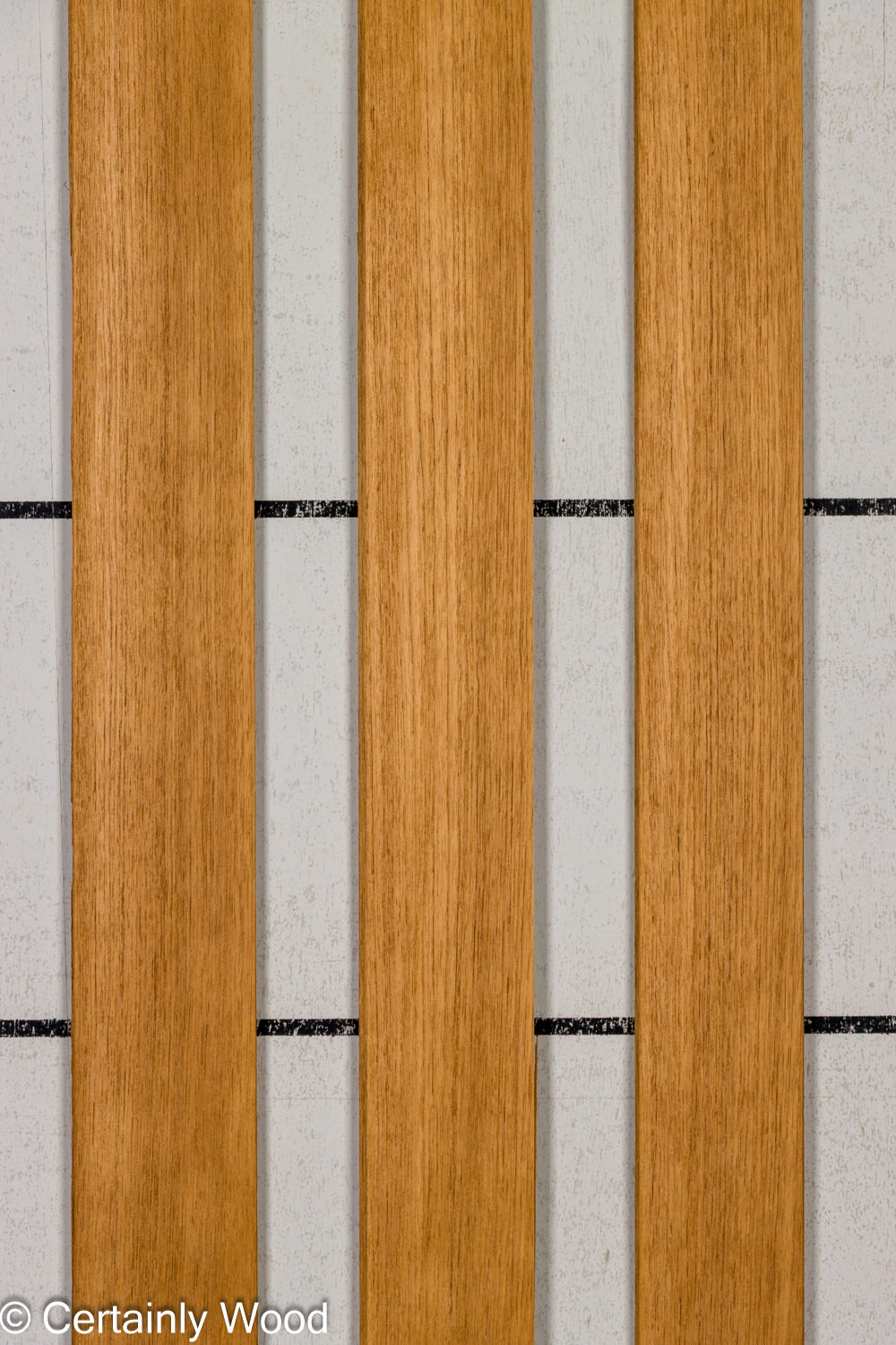 Featured Product Image