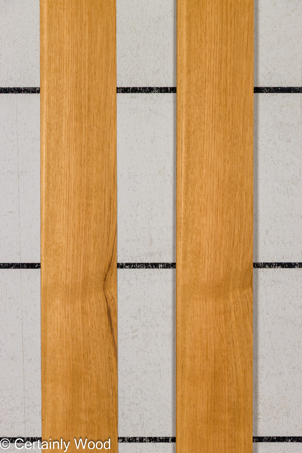 Featured Product Image