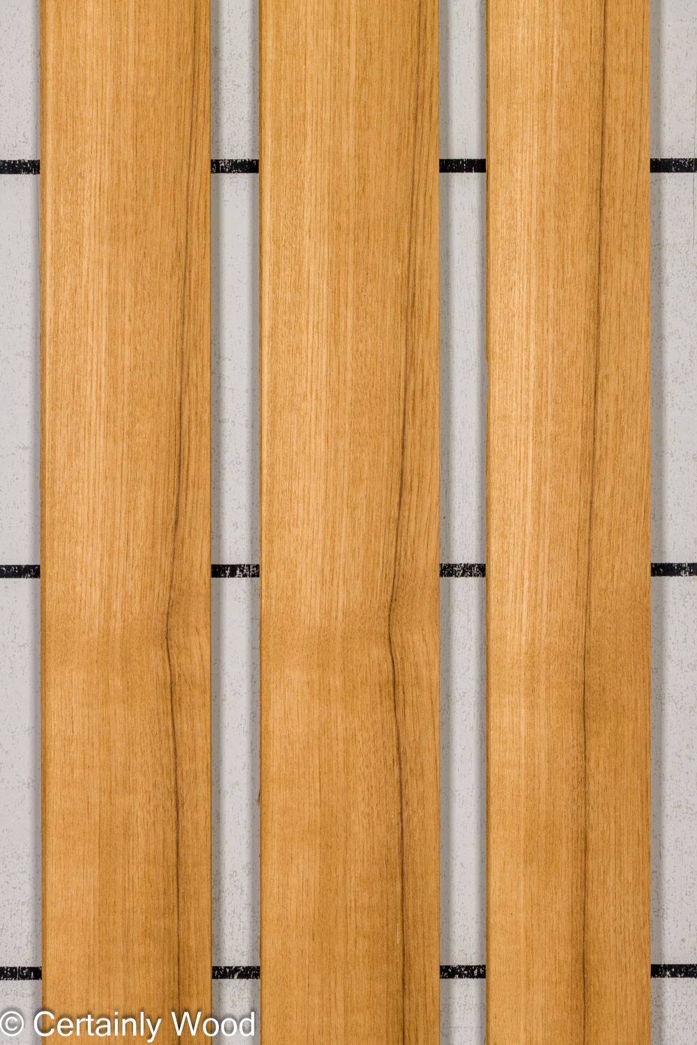 Featured Product Image