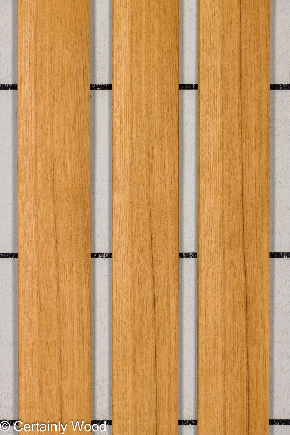 Featured Product Image