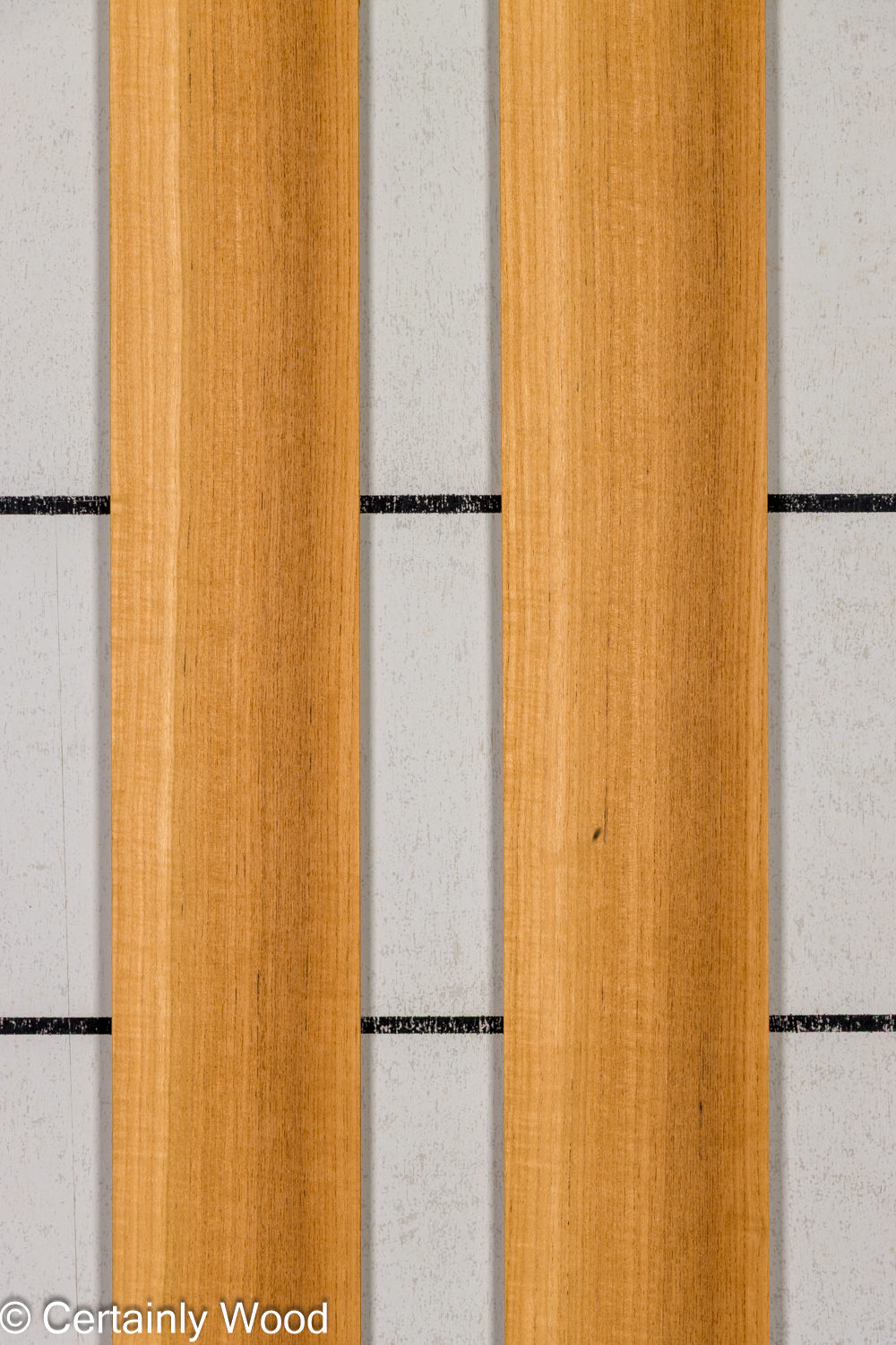 Featured Product Image