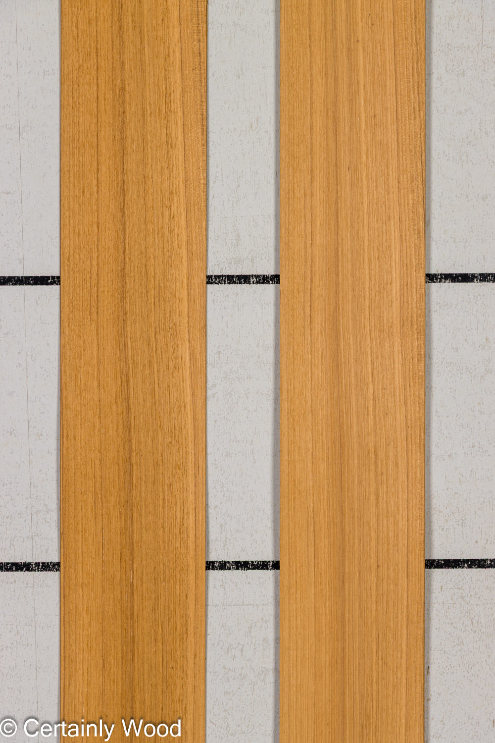 Featured Product Image