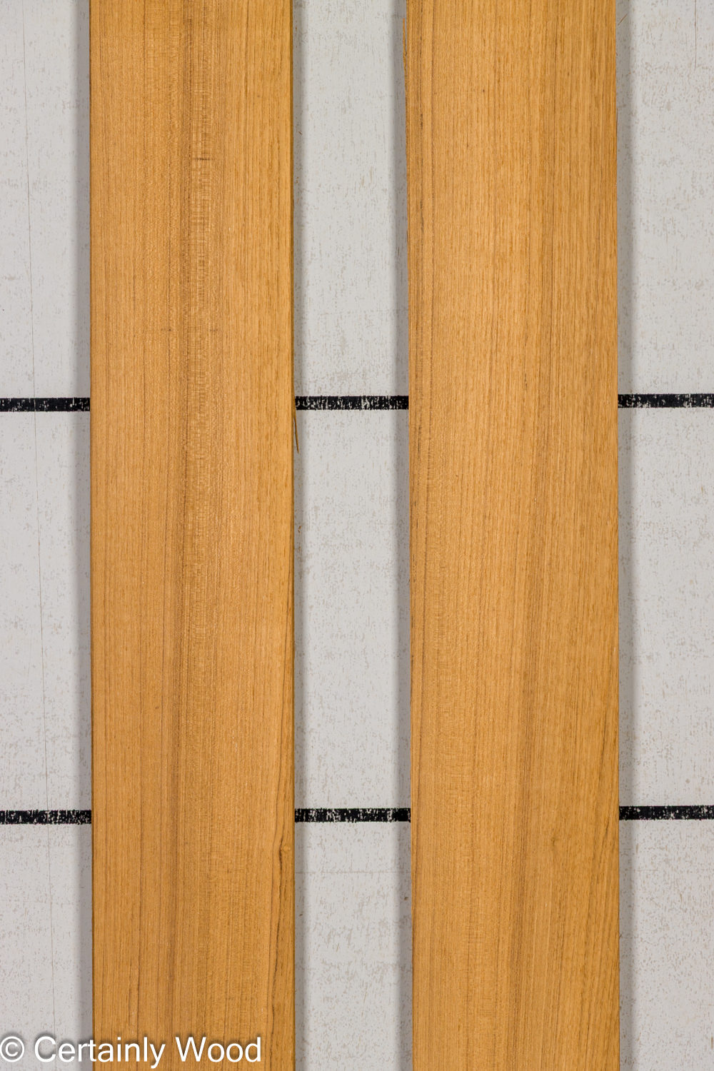 Featured Product Image