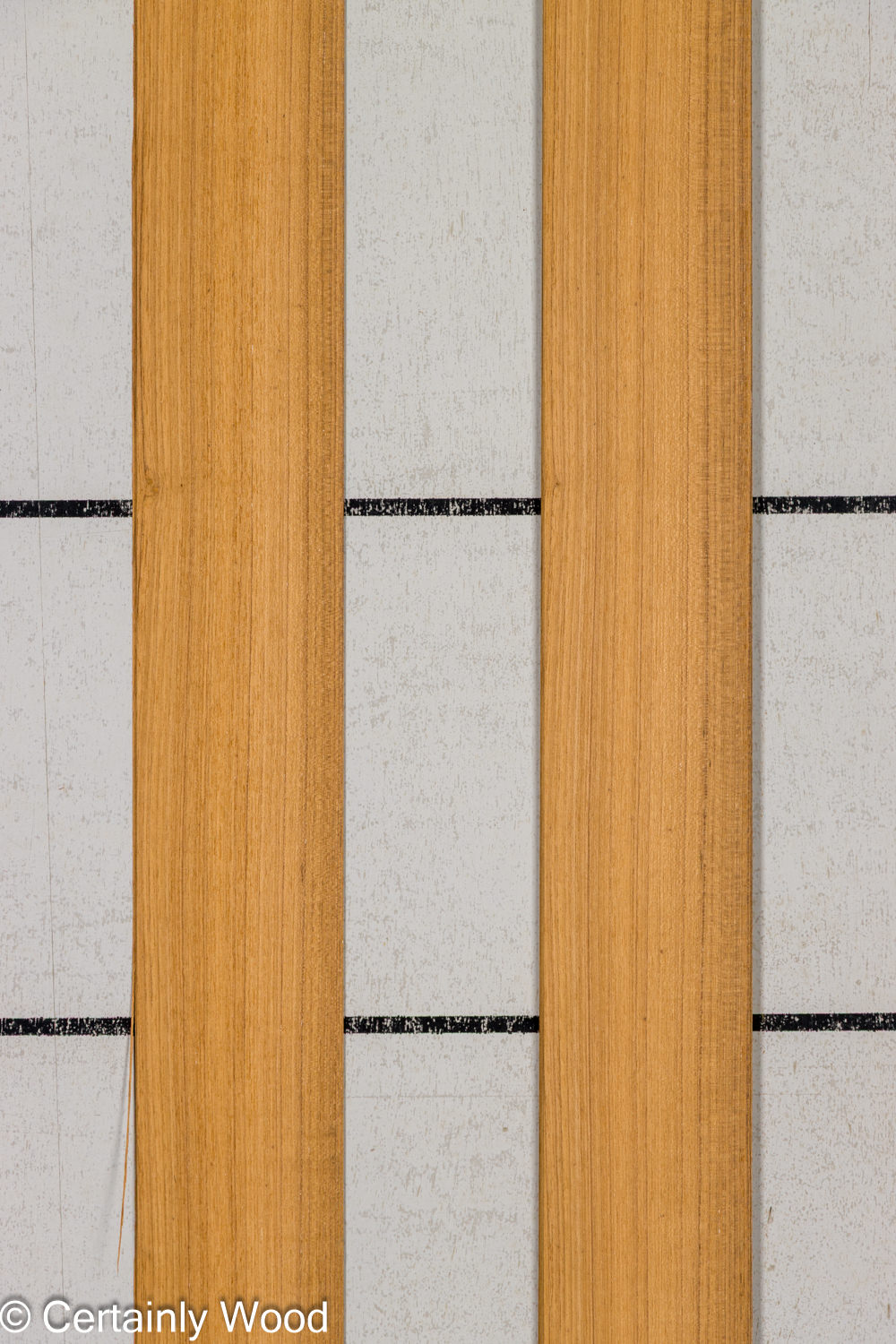 Featured Product Image