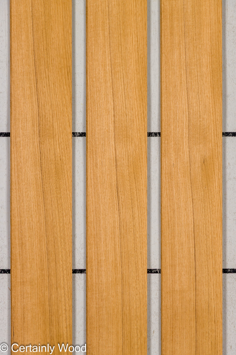Featured Product Image