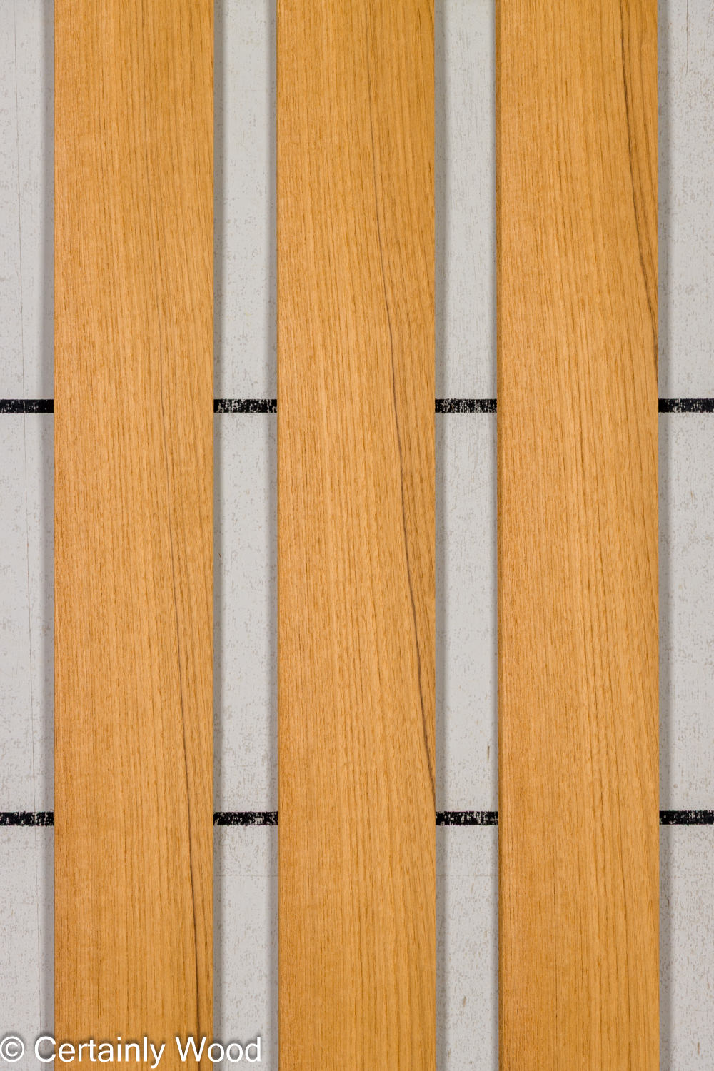 Featured Product Image