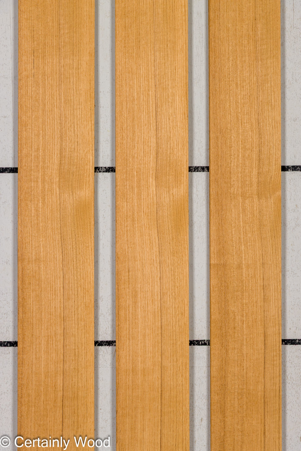 Featured Product Image