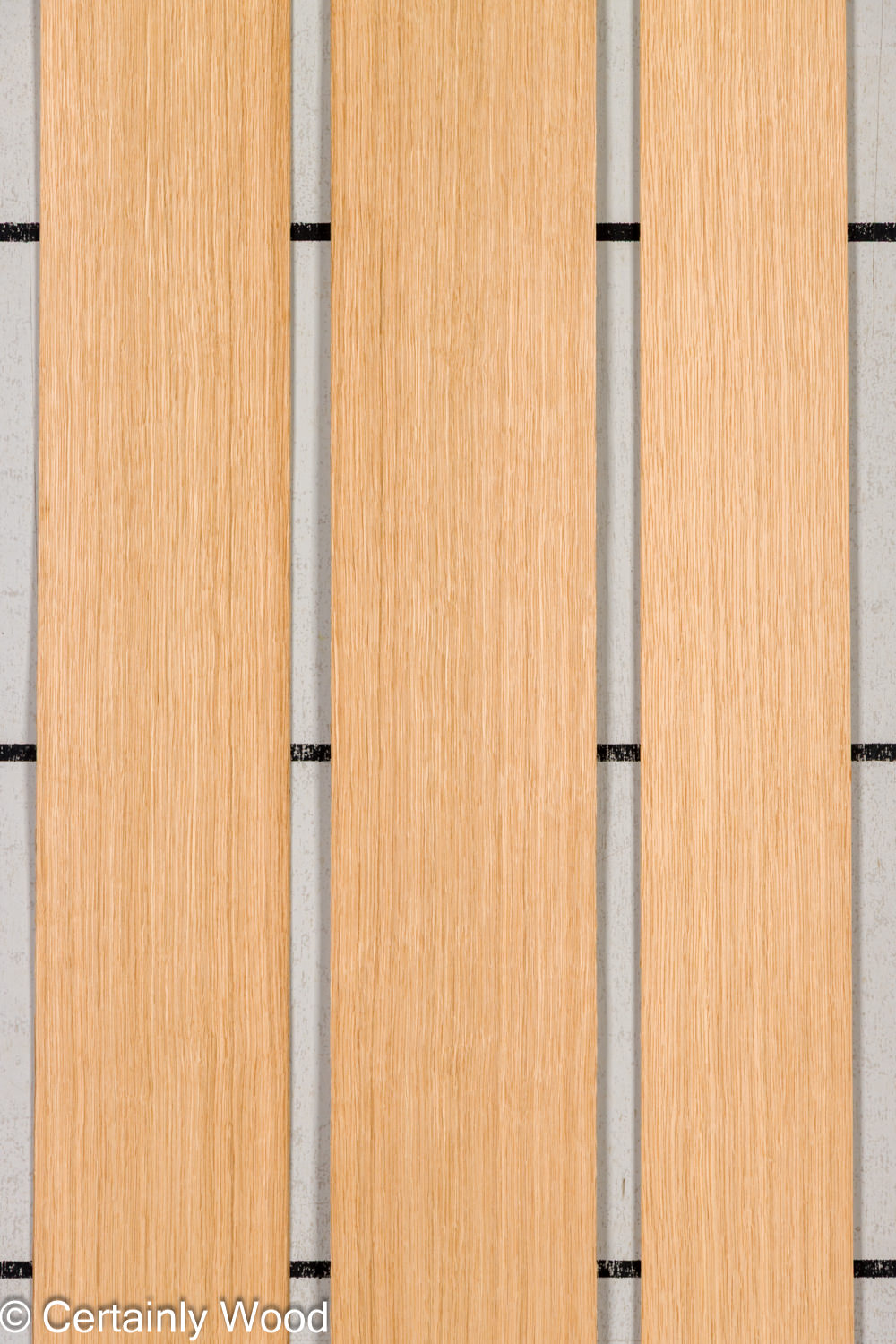 Featured Product Image