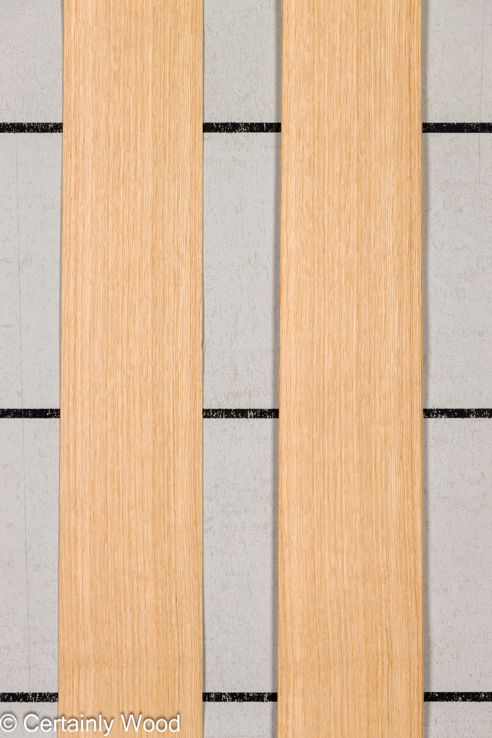 Featured Product Image