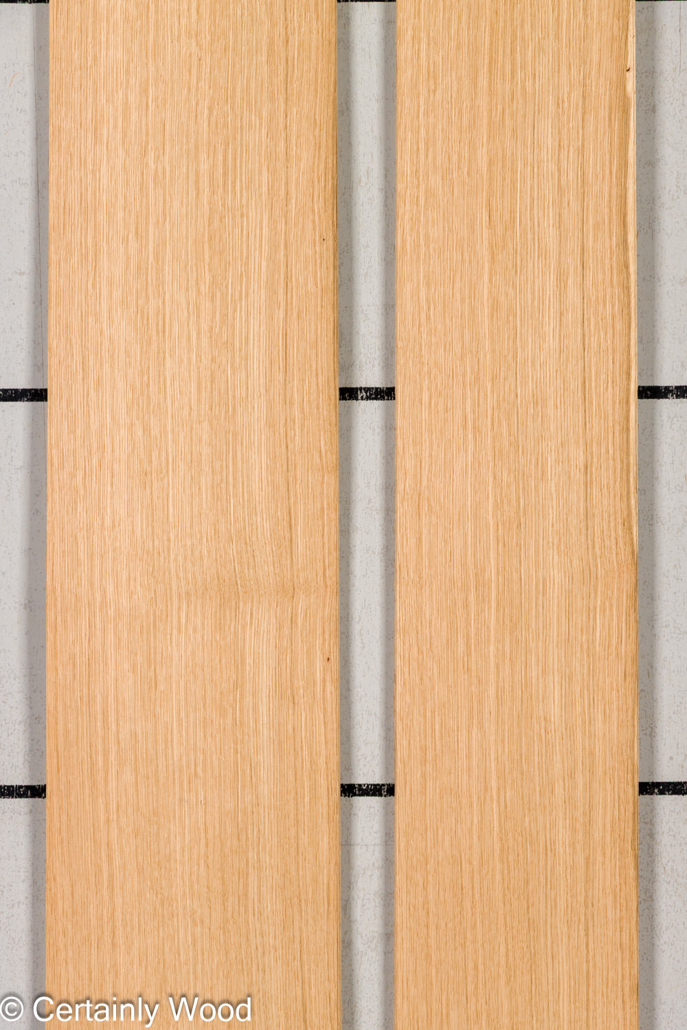Featured Product Image