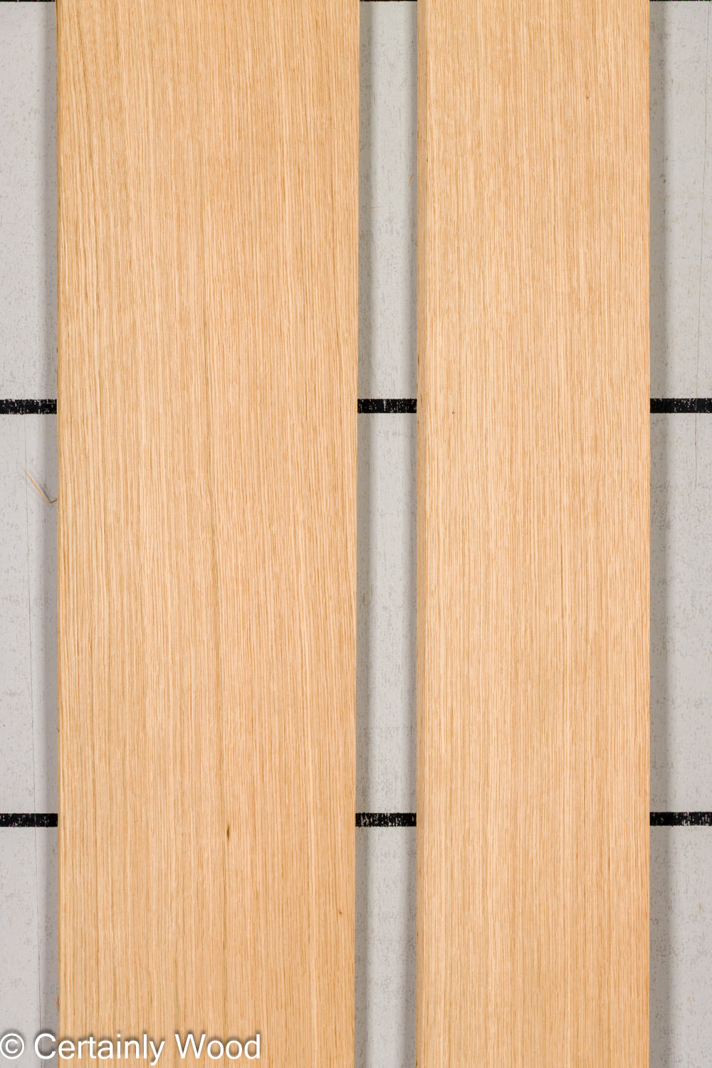 Featured Product Image