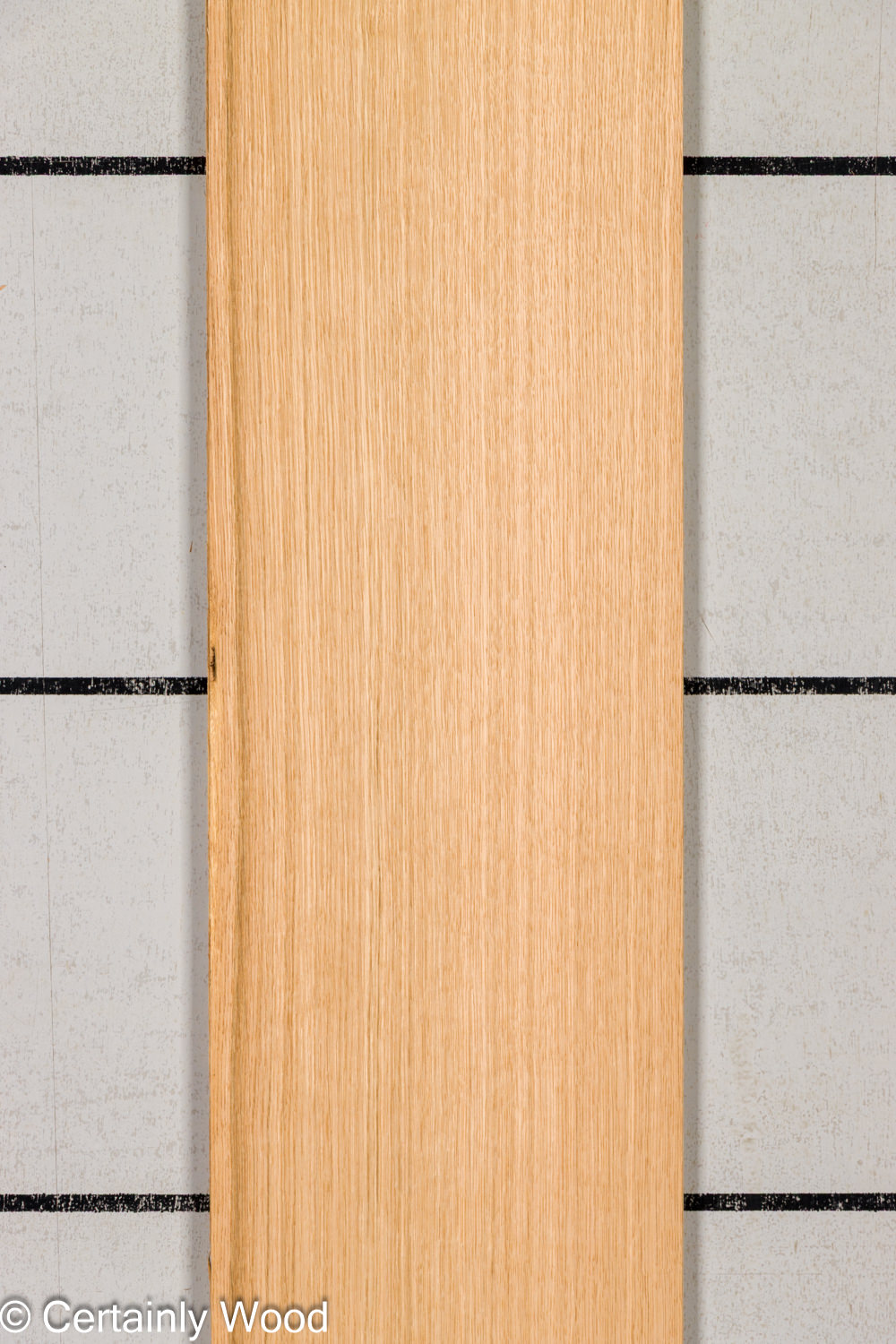 Featured Product Image
