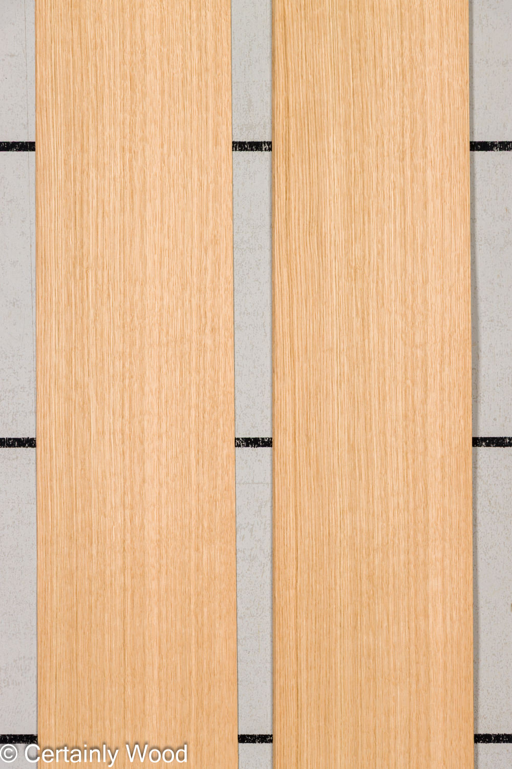 Featured Product Image