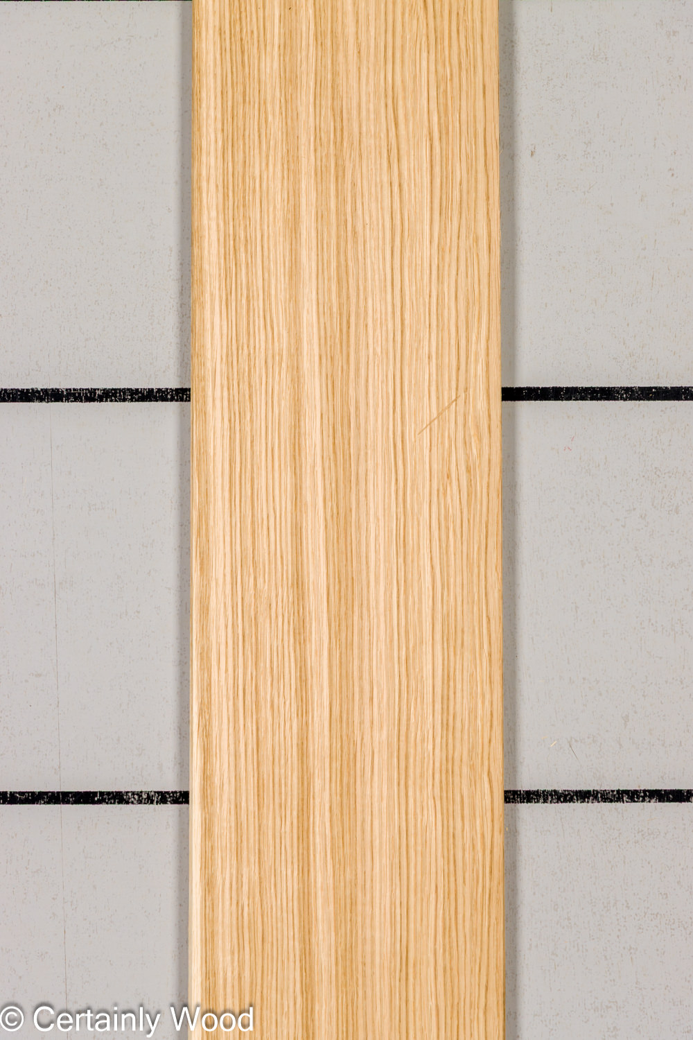 Featured Product Image