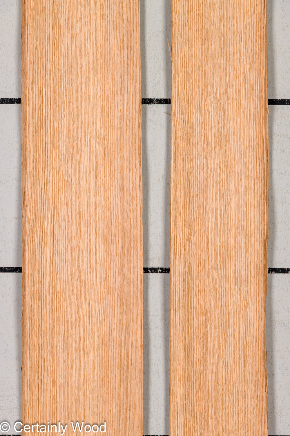 Featured Product Image