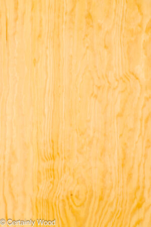 R PINE 26270-2