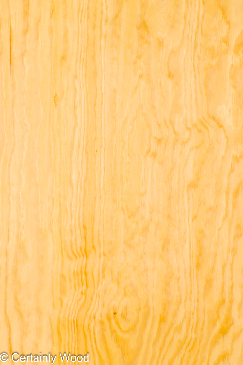 Featured Product Image
