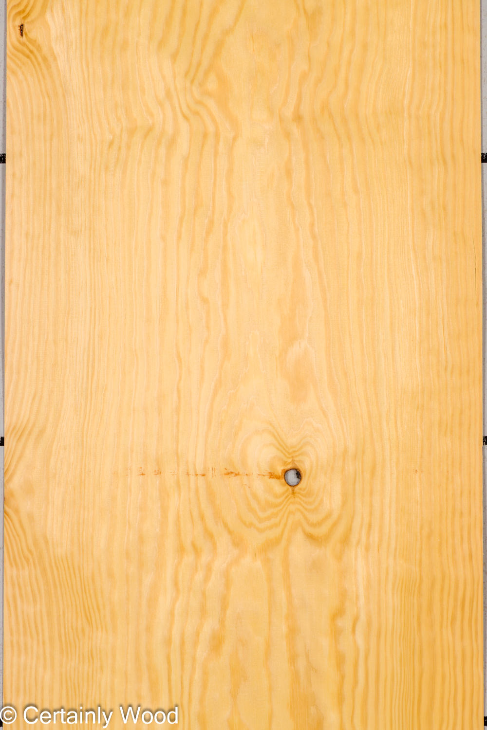 Featured Product Image
