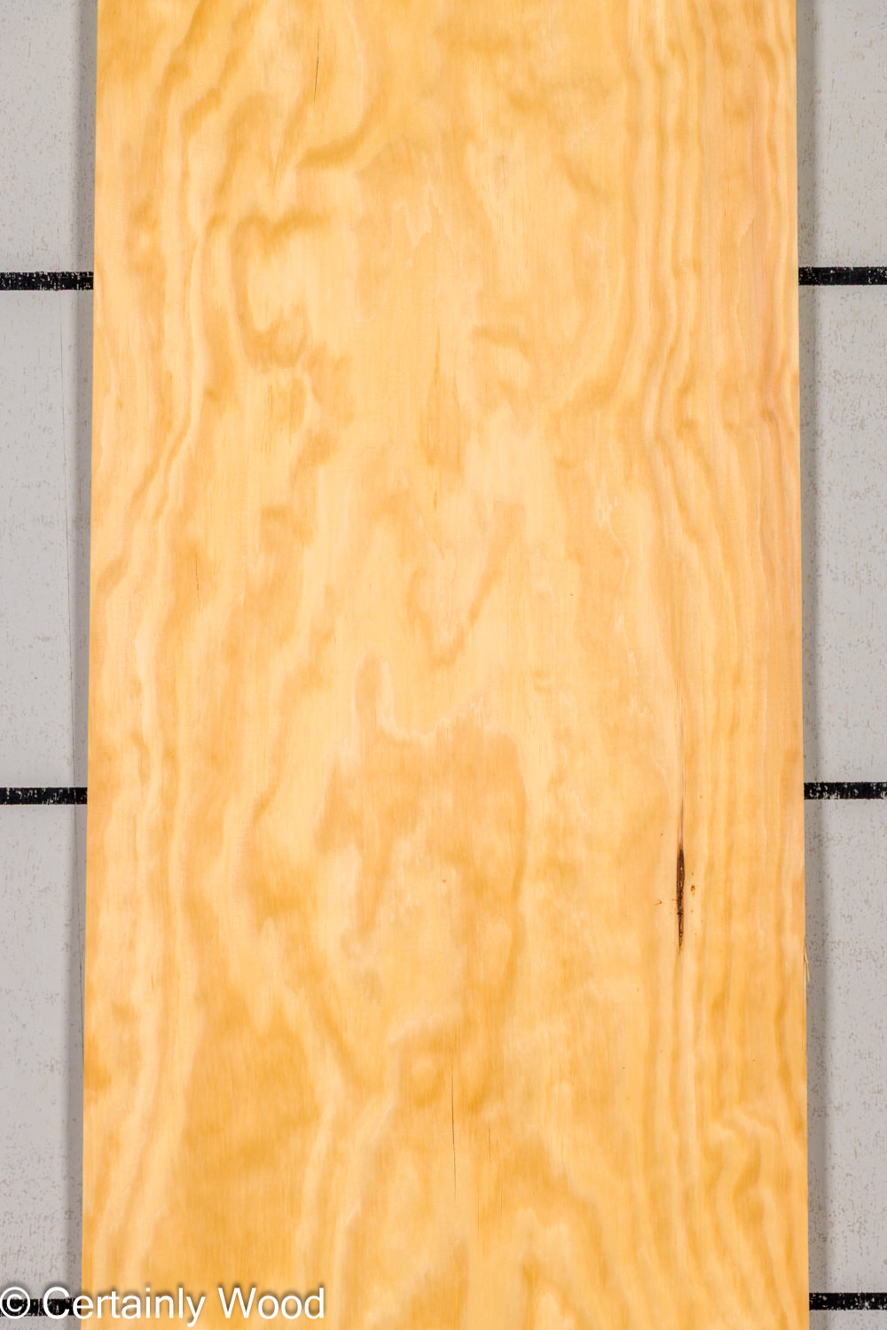 Featured Product Image