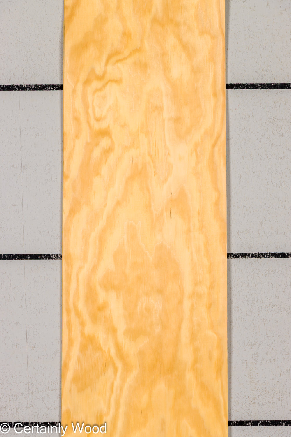 Featured Product Image