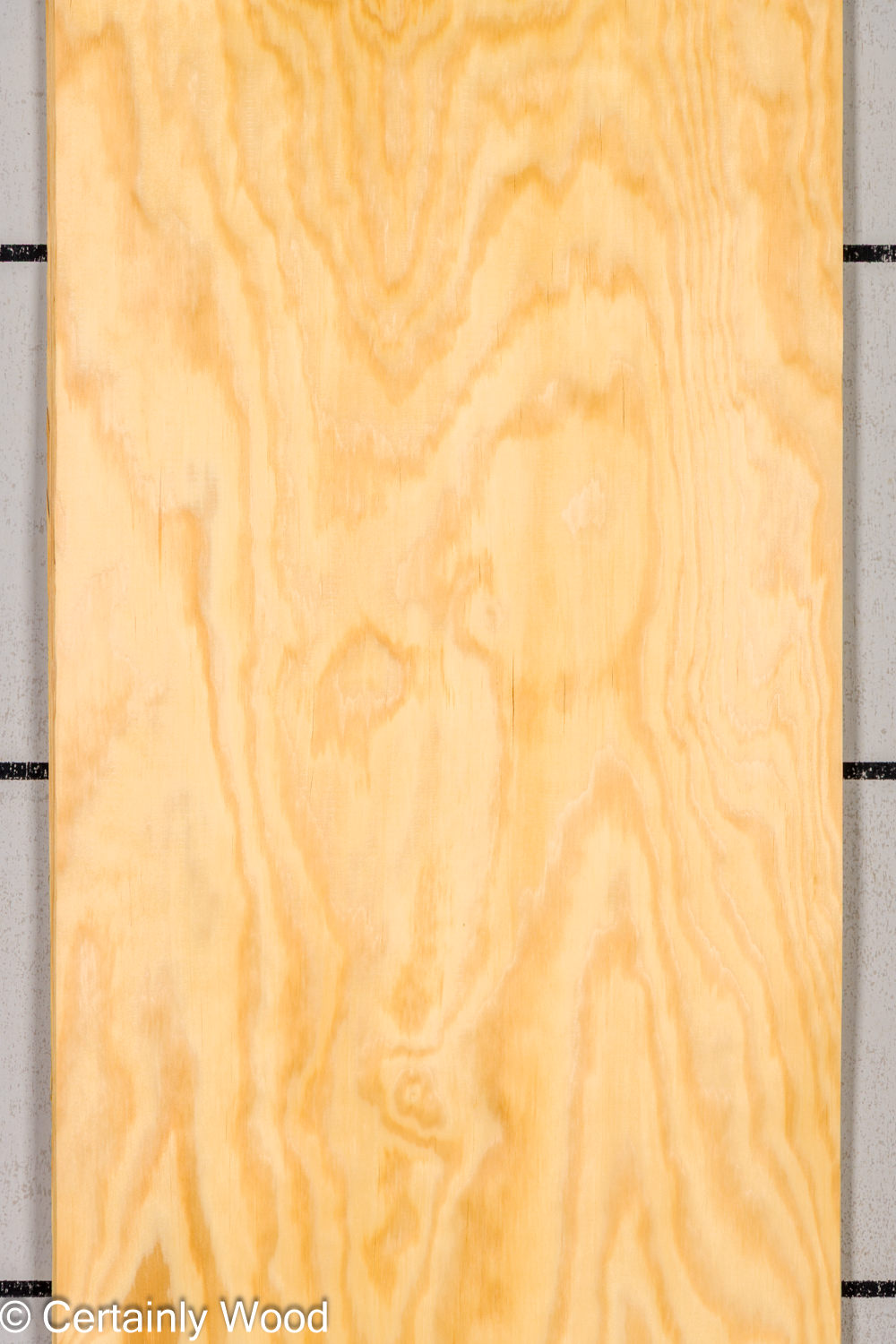 Featured Product Image
