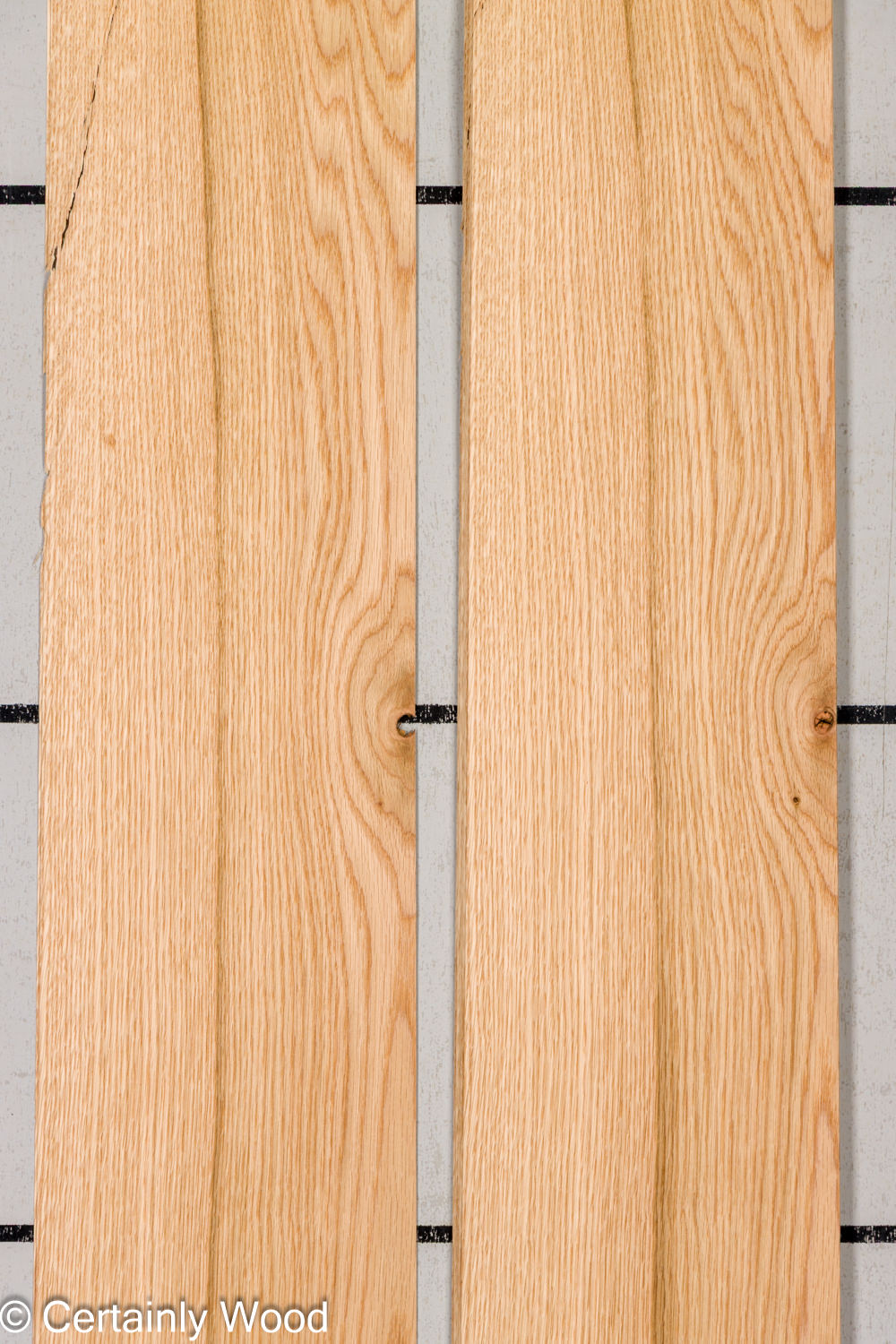 Featured Product Image