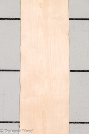 W BIRCH 26336
