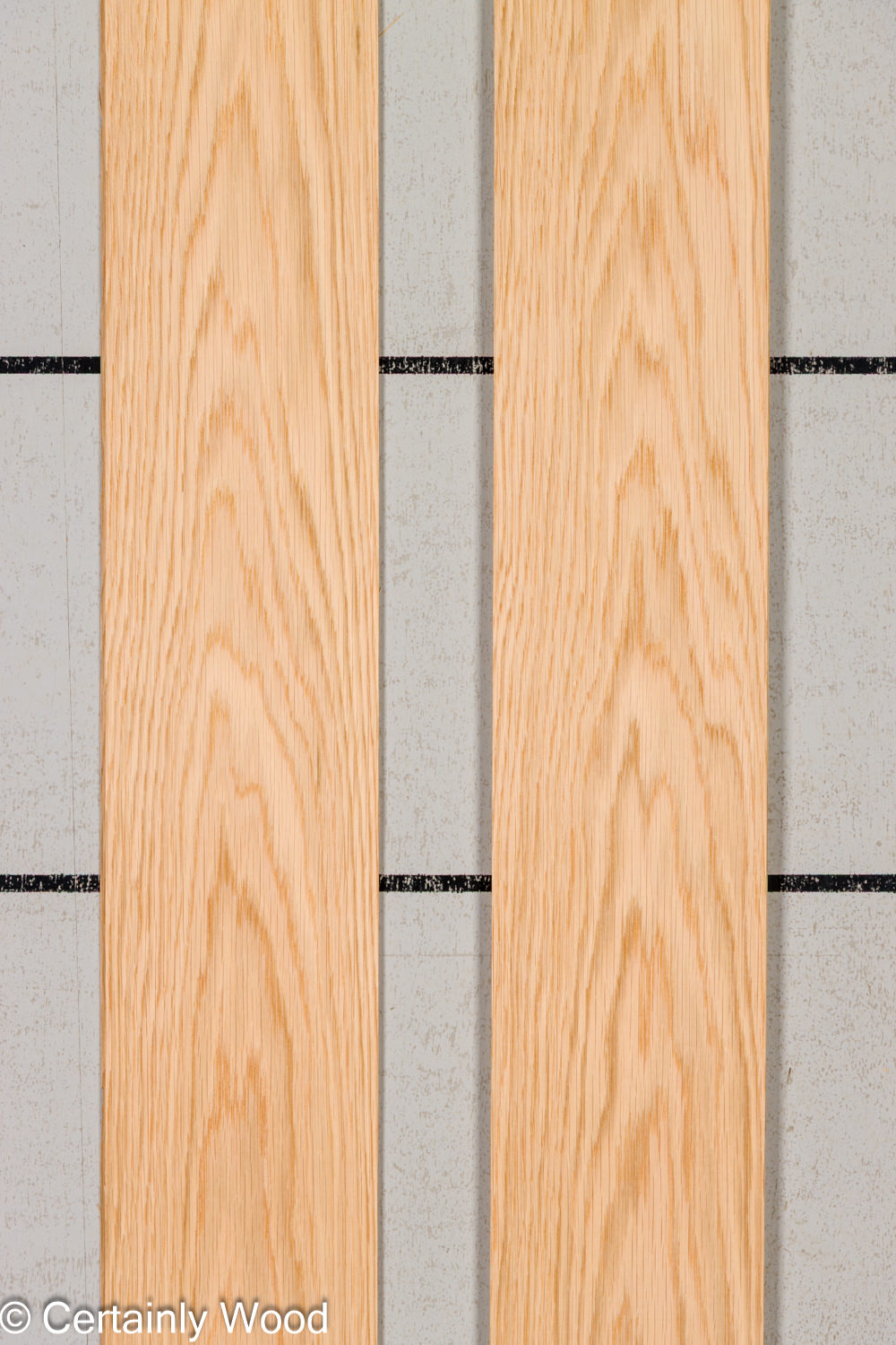 Featured Product Image