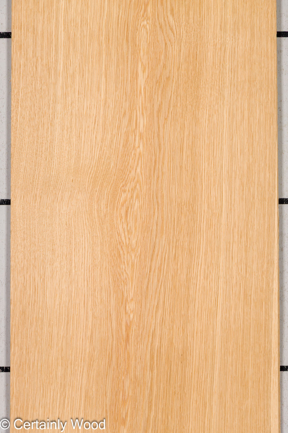 Featured Product Image