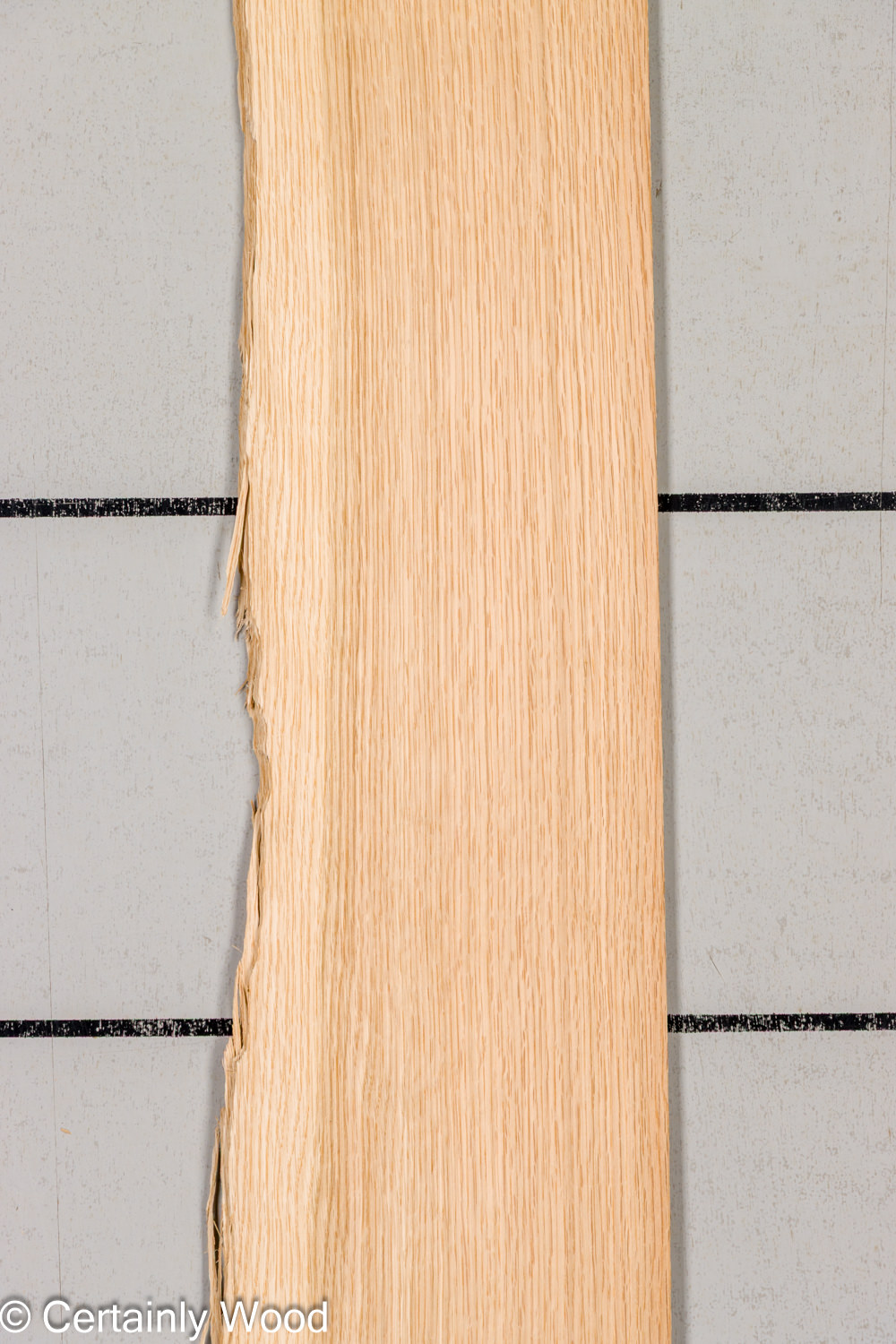 Featured Product Image