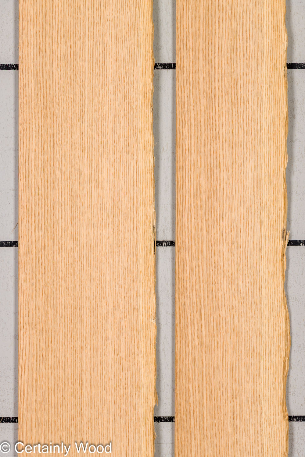 Featured Product Image