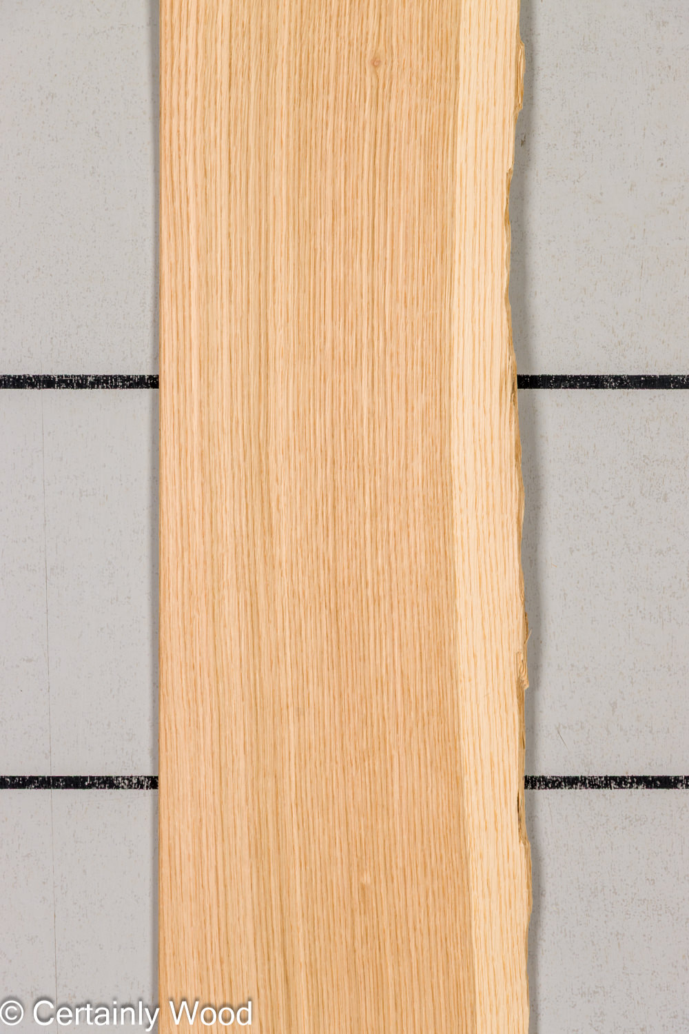 Featured Product Image