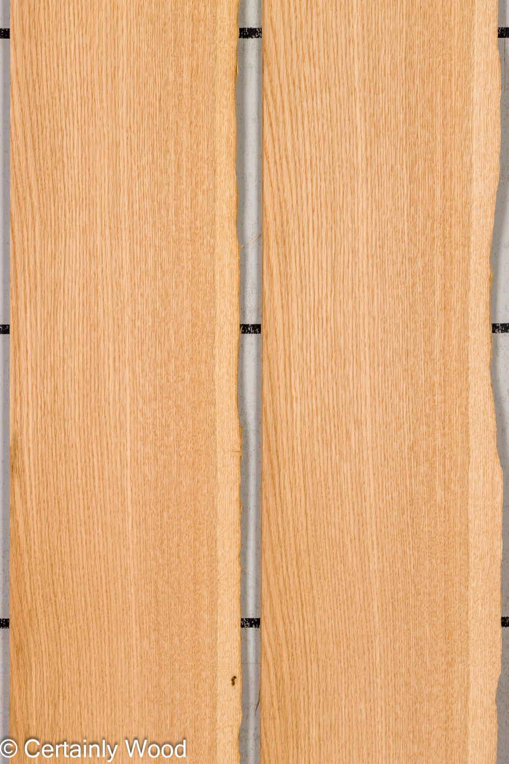 Featured Product Image