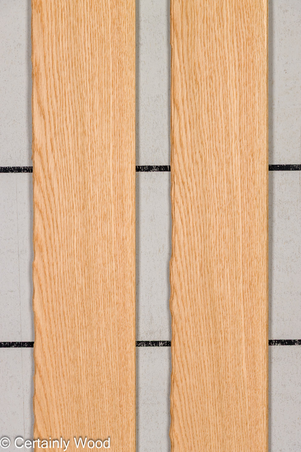Featured Product Image