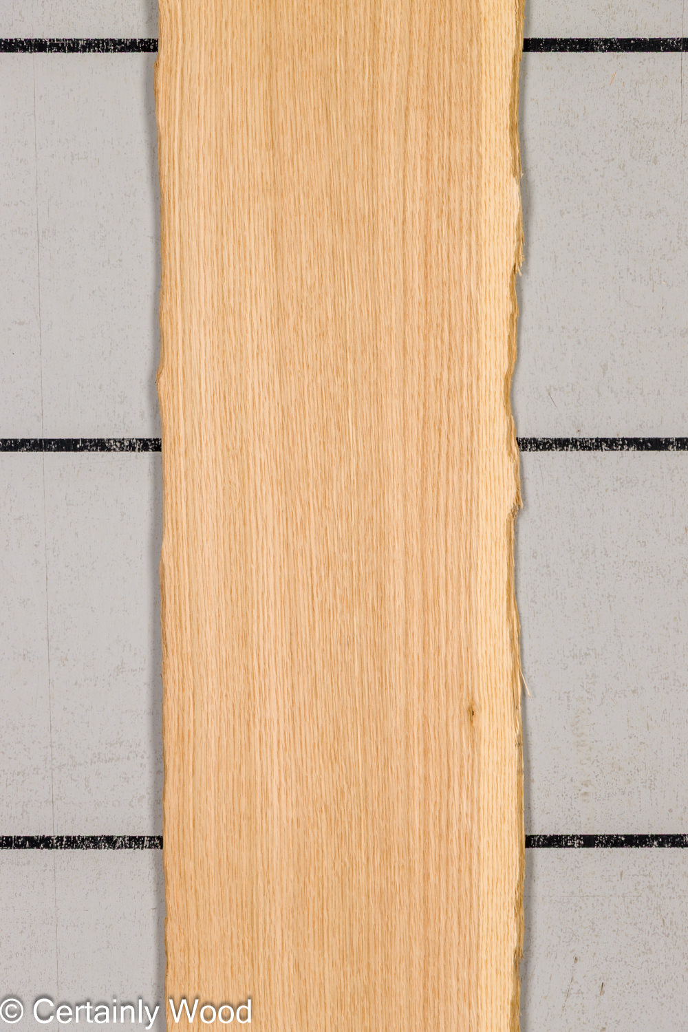 Featured Product Image