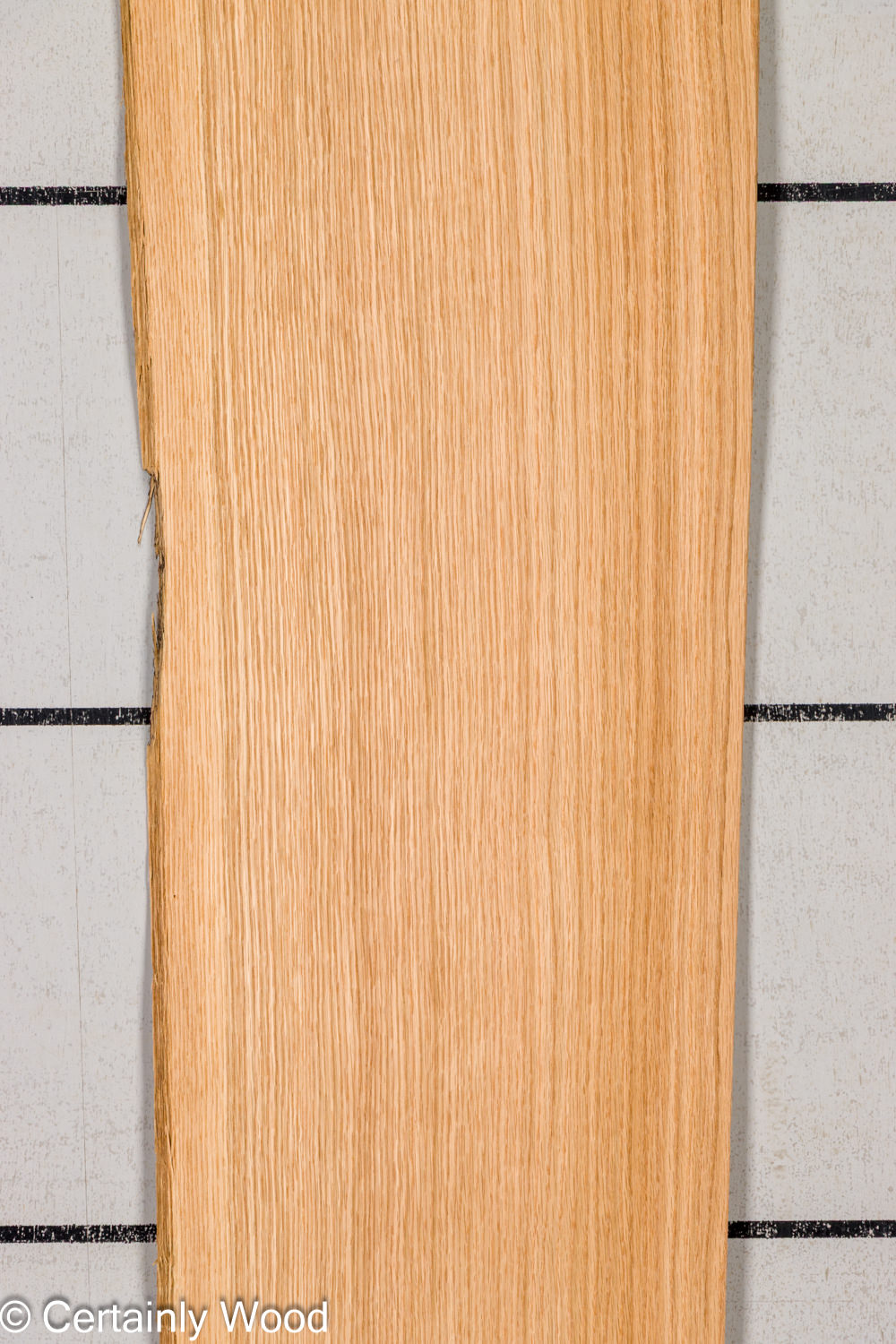 Featured Product Image