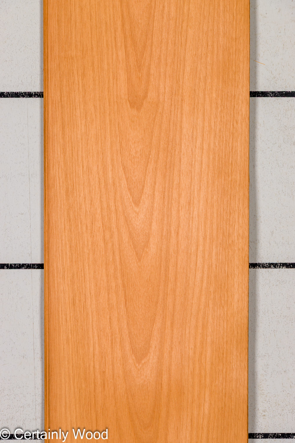 Featured Product Image
