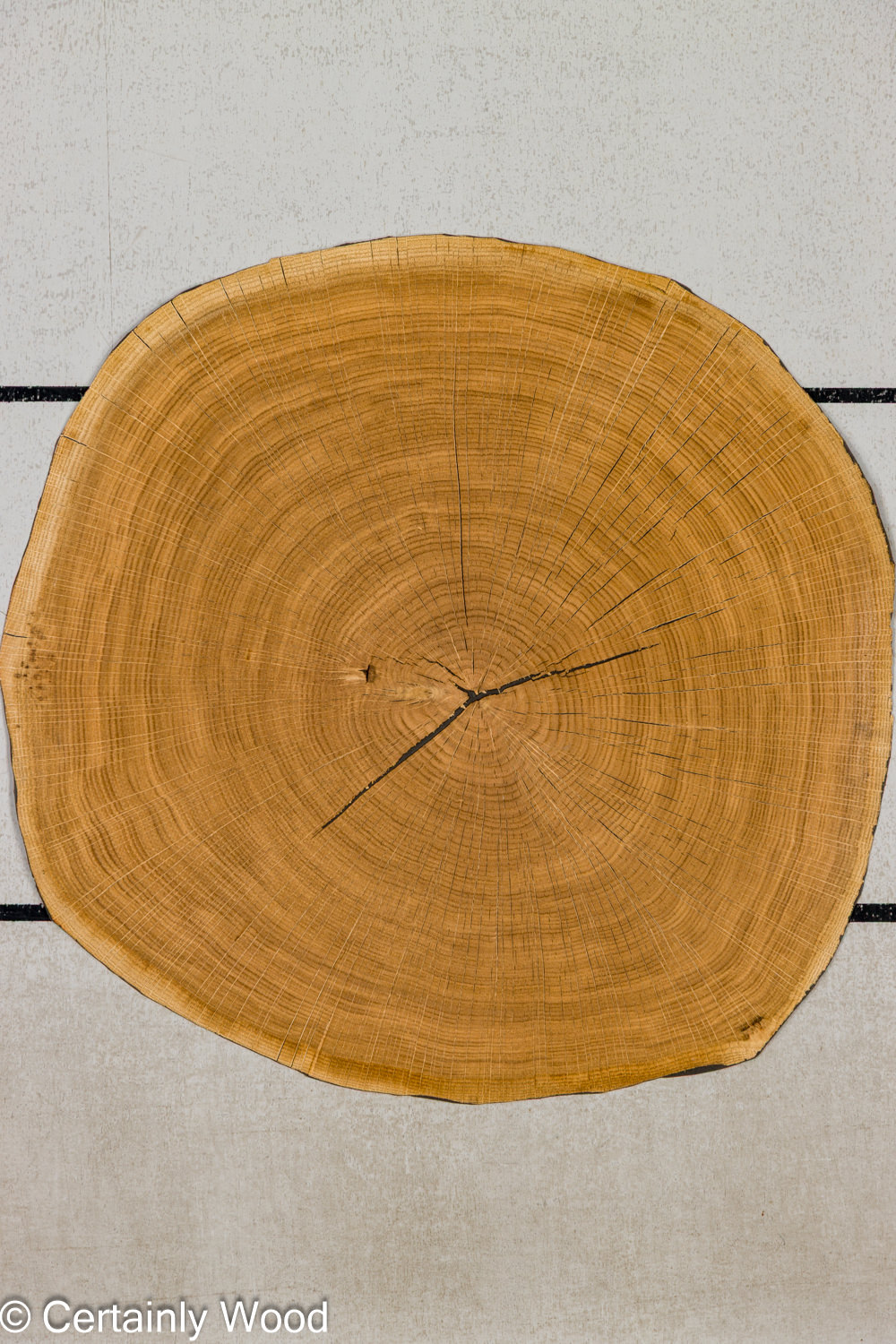 Featured Product Image