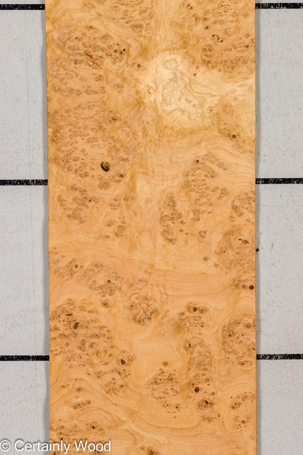 Featured Product Image