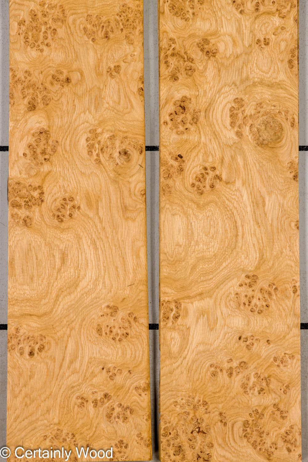 Featured Product Image