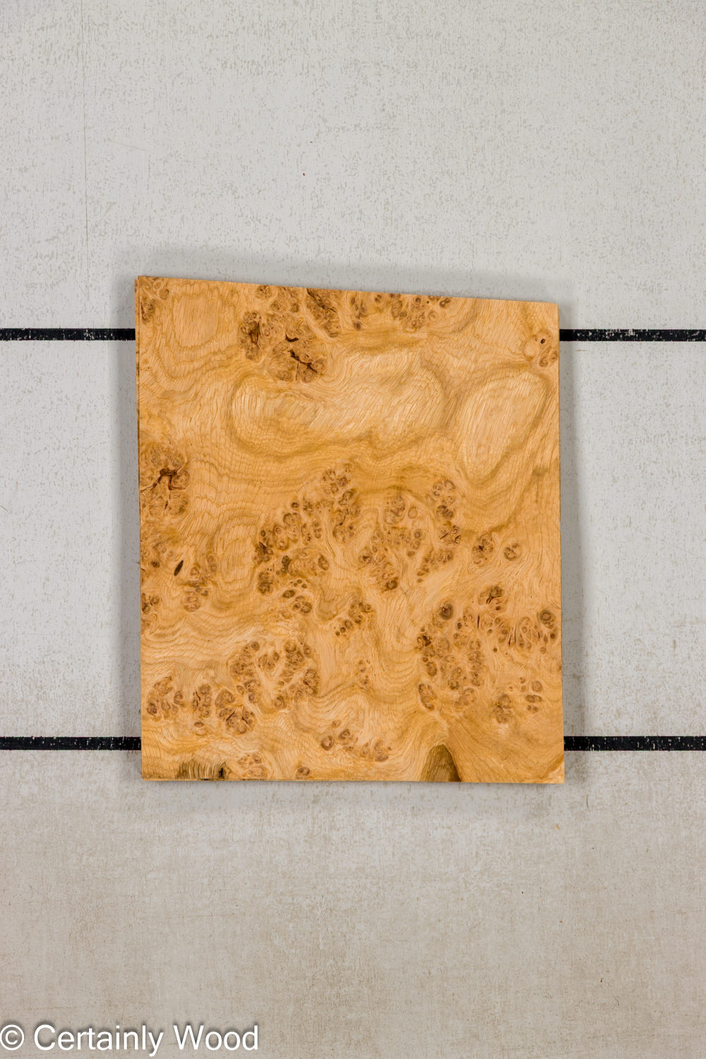 Featured Product Image