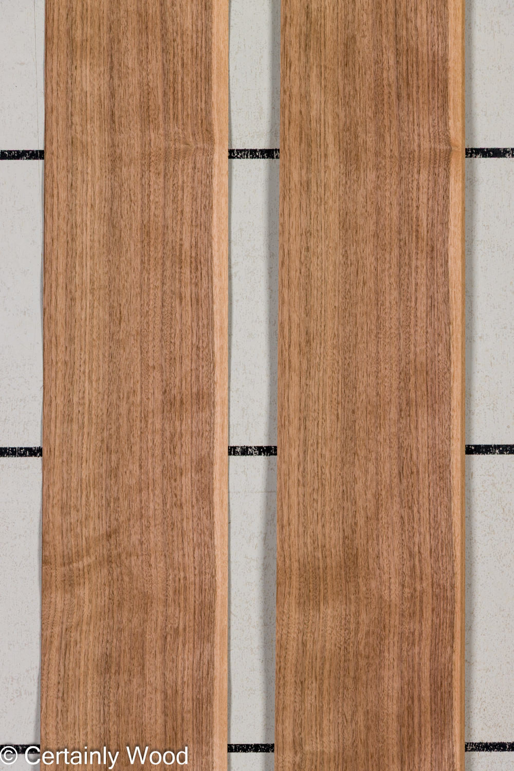 Featured Product Image